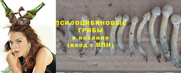 гашик Алзамай