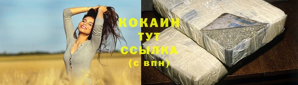 гашик Алзамай