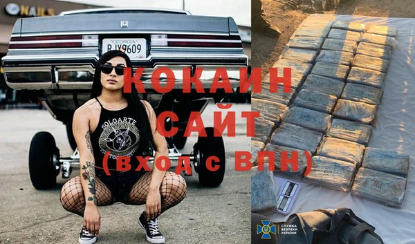 гашик Алзамай
