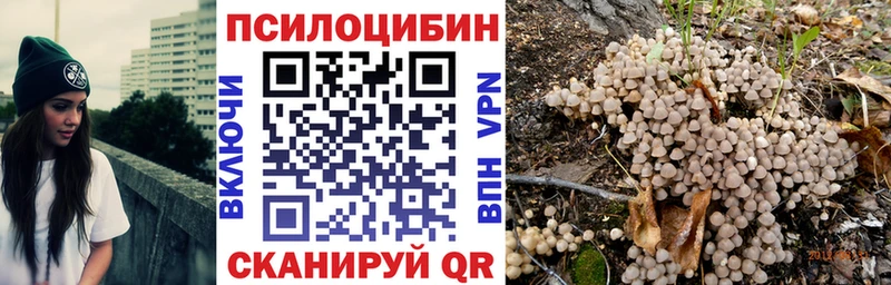 Галлюциногенные грибы Magic Shrooms  гидра как войти  Красноармейск 