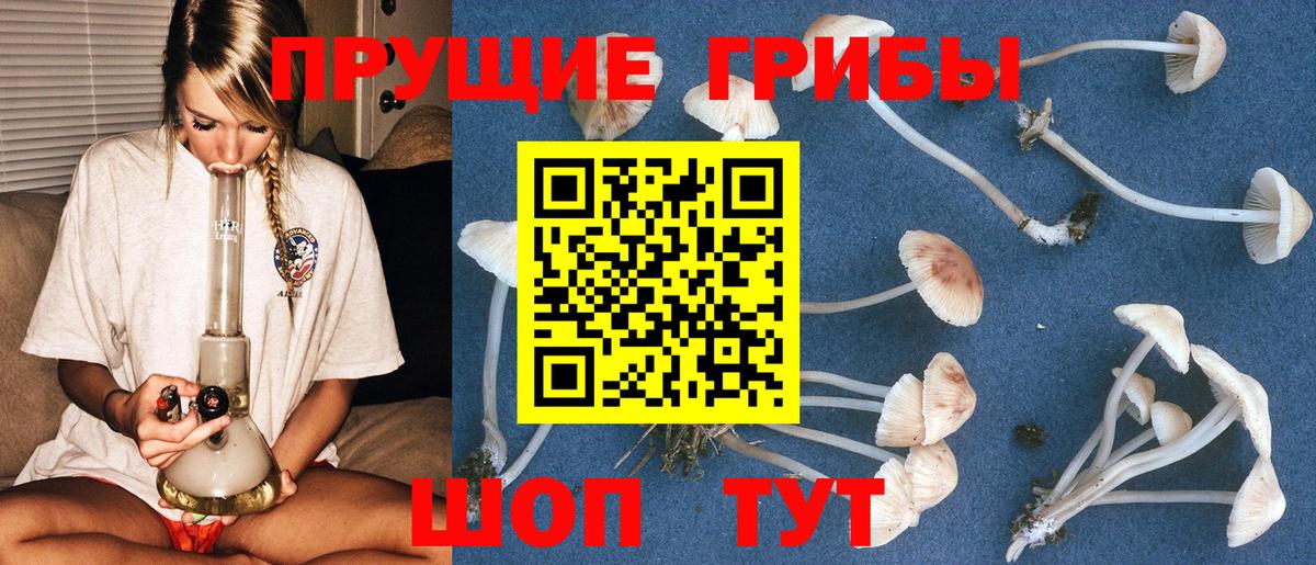 Псилоцибиновые грибы прущие грибы  Вход с VPN  Красноармейск 